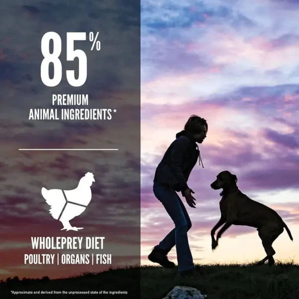 Pet food - Image 2